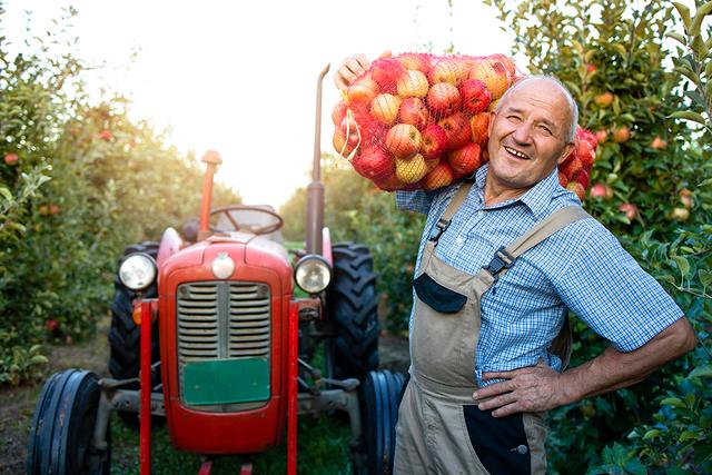 Farmer 1